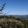 Point Reyes 11